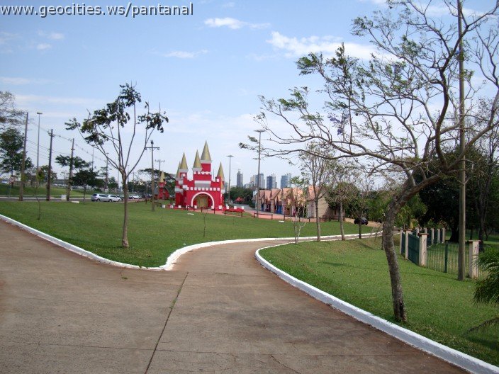 3950-geocities-ws-pantanal.jpg