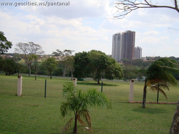3951-geocities-ws-pantanal.jpg