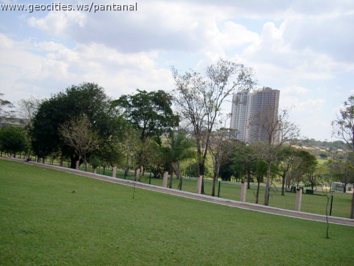 3952-geocities-ws-pantanal.jpg