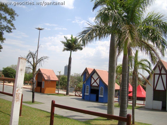 3959-geocities-ws-pantanal.jpg