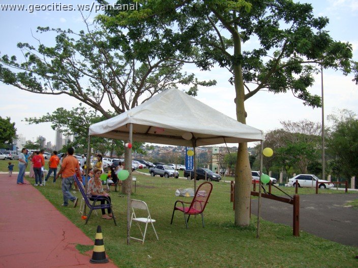 3962-geocities-ws-pantanal.jpg