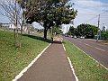 3750-geocities-ws-pantanal