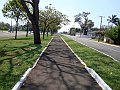 3760-geocities-ws-pantanal