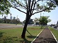 3761-geocities-ws-pantanal
