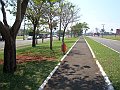 3775-geocities-ws-pantanal