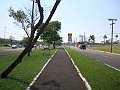 3777-geocities-ws-pantanal