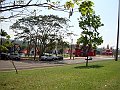 3786-geocities-ws-pantanal