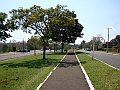 3801-geocities-ws-pantanal