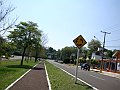 3809-geocities-ws-pantanal