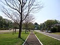 3811-geocities-ws-pantanal