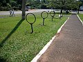3813-geocities-ws-pantanal