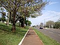 3831-geocities-ws-pantanal