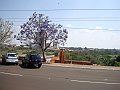 3839-geocities-ws-pantanal