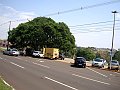 3843-geocities-ws-pantanal