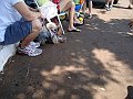 3871-geocities-ws-pantanal