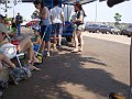 3872-geocities-ws-pantanal
