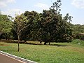 3896-geocities-ws-pantanal