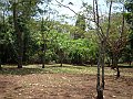 3899-geocities-ws-pantanal