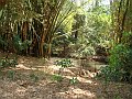 3900-geocities-ws-pantanal