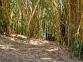 3901-geocities-ws-pantanal