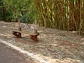 3902-geocities-ws-pantanal
