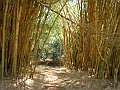3903-geocities-ws-pantanal