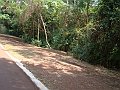 3904-geocities-ws-pantanal