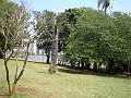 3907-geocities-ws-pantanal