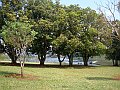 3911-geocities-ws-pantanal