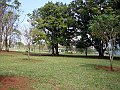 3912-geocities-ws-pantanal