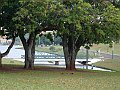 3913-geocities-ws-pantanal