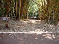3914-geocities-ws-pantanal