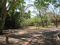 3915-geocities-ws-pantanal