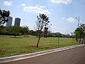 3919-geocities-ws-pantanal