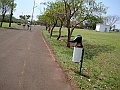 3920-geocities-ws-pantanal