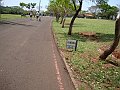 3921-geocities-ws-pantanal