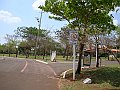 3924-geocities-ws-pantanal
