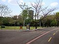 3927-geocities-ws-pantanal