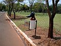 3929-geocities-ws-pantanal