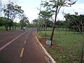 3931-geocities-ws-pantanal