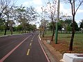 3932-geocities-ws-pantanal