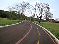 3937-geocities-ws-pantanal