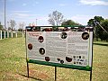 3942-geocities-ws-pantanal