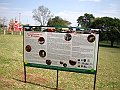 3943-geocities-ws-pantanal