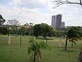3951-geocities-ws-pantanal