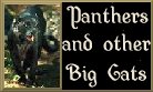 Panthers & other Big Cats