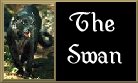 Meet The Swan