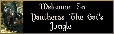 Welcome.Please have patience while page loads