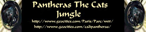 Link Banner