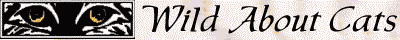 Wild About Cats
